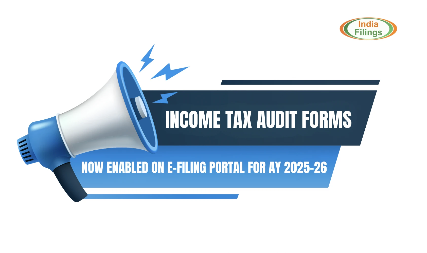 Income Tax Audit Forms Now Live on ITR e-Filing Portal  