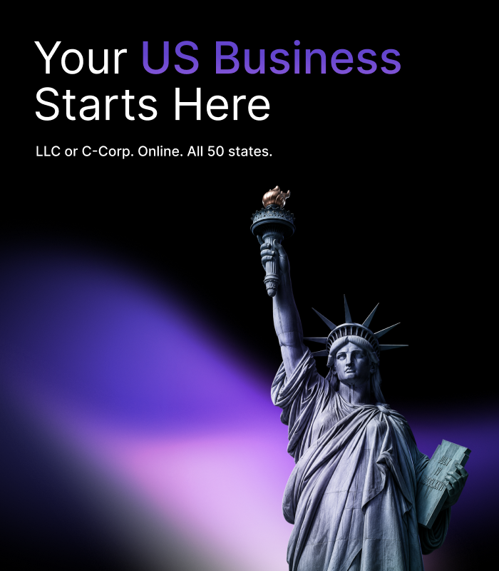 USA Company Registration