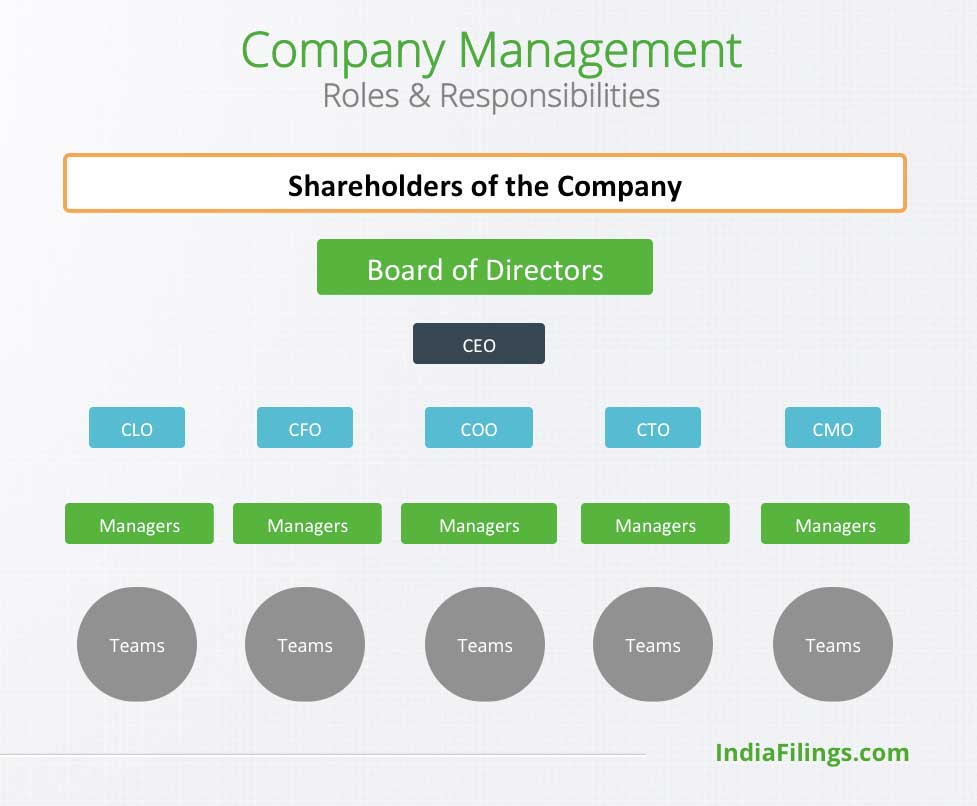 Company Management Structure