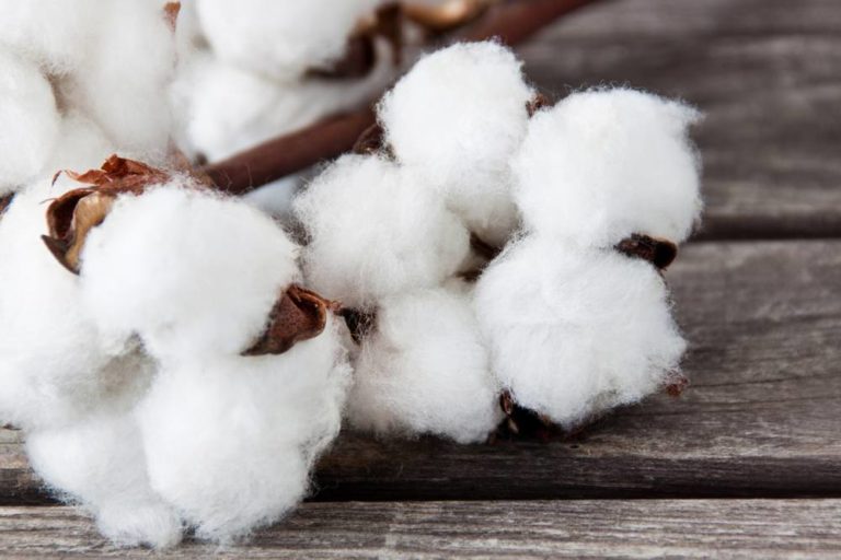 GST on Cotton, Yarn, Silk, Wool and Nylon