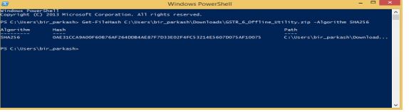 Image 5 GSTR 6 Return Offline Utility