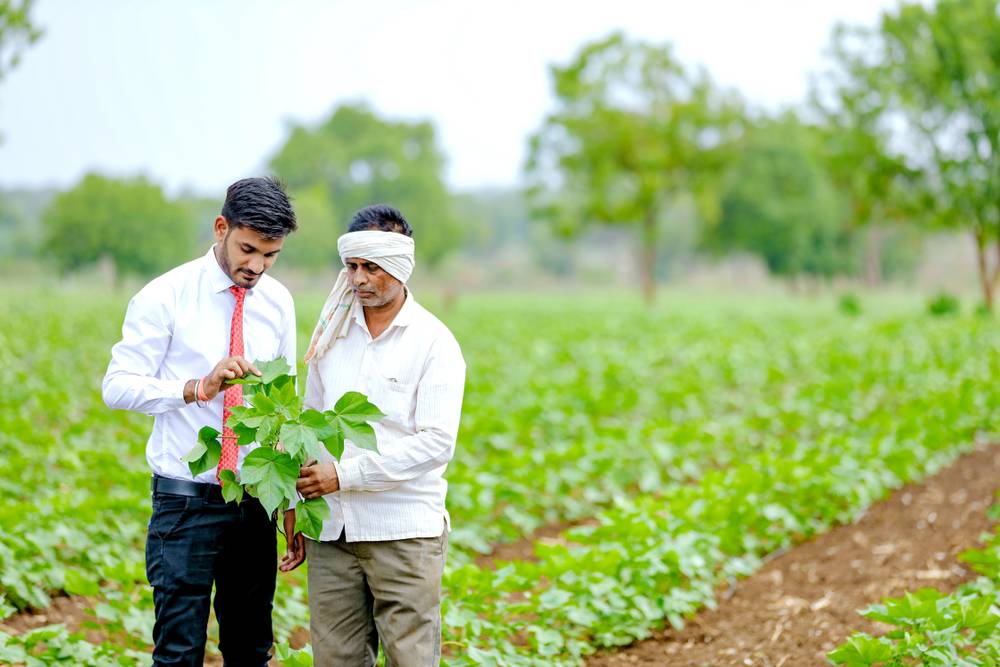 National Agricultural Insurance Scheme