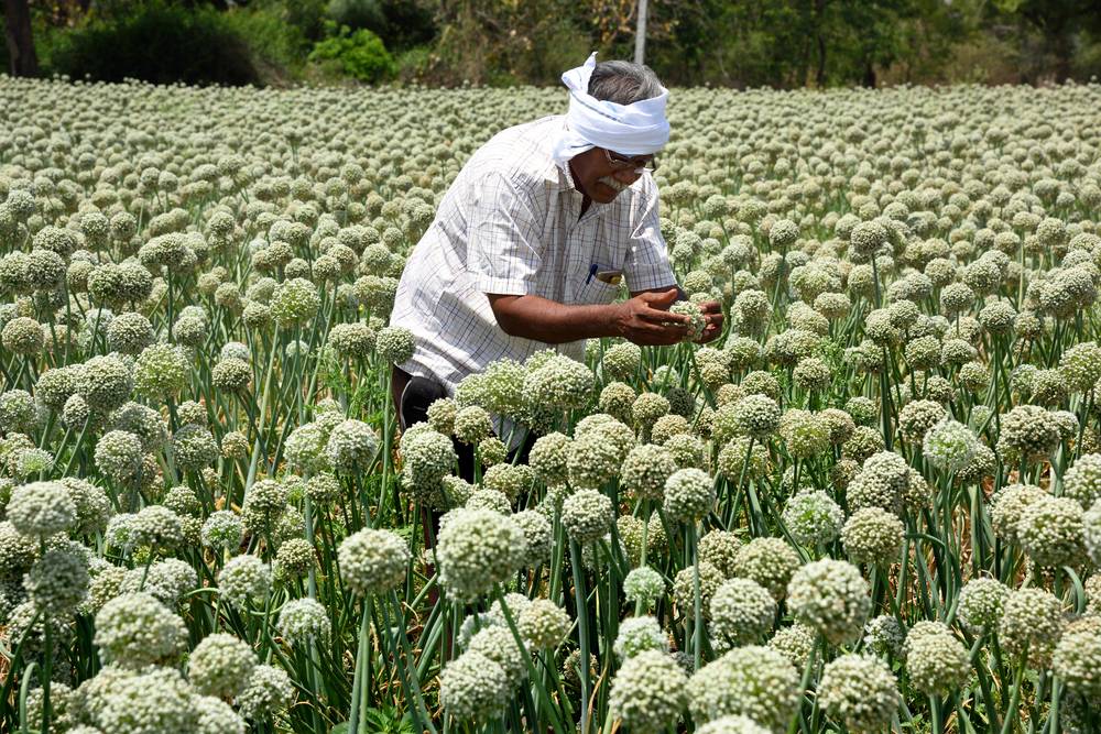 Pradhan Mantri Kisan Sampada Yojana