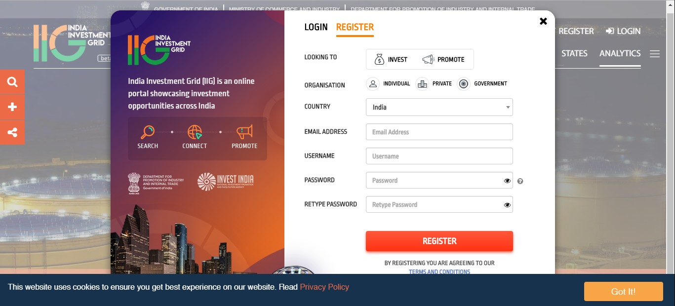 Investment or Promotion Page