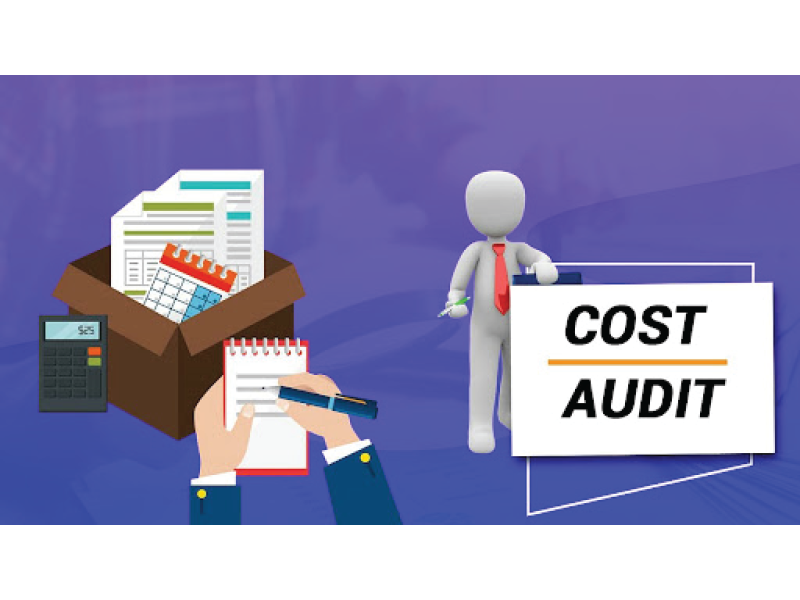 Cost Audit Report